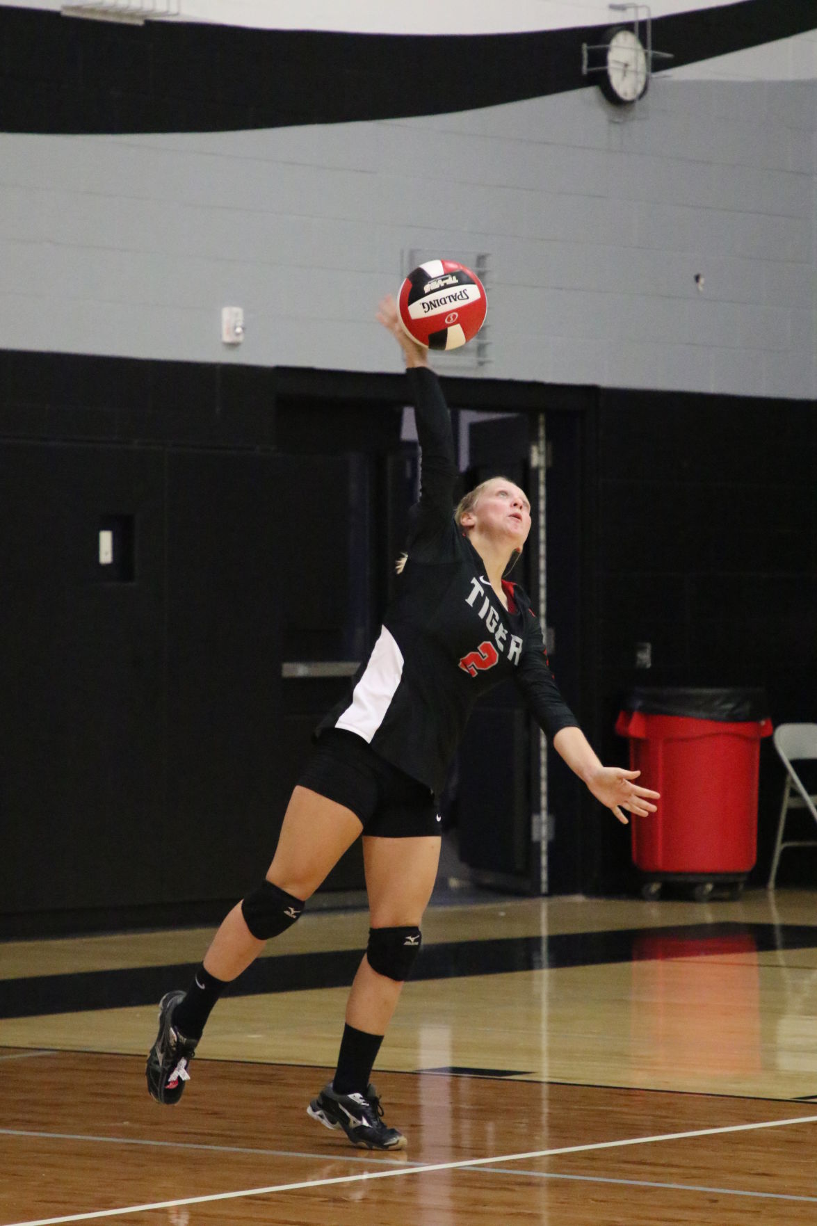 VanDePol_SHHawks_7245.JPG
